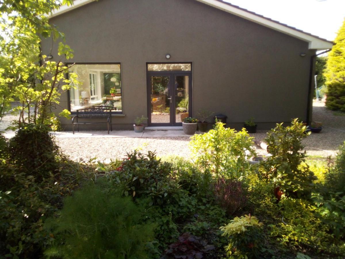 Spacious Contemporary Chalet Type Apartment. 골웨이 외부 사진