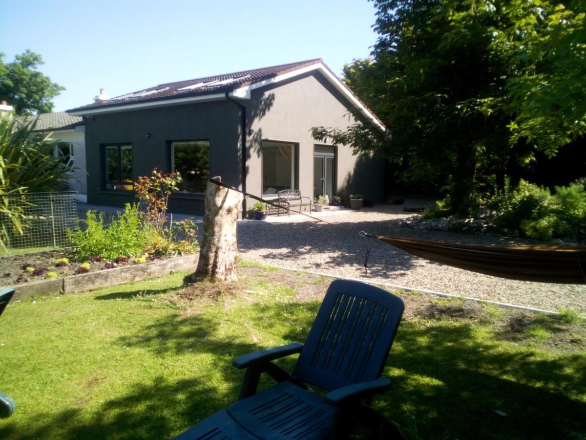 Spacious Contemporary Chalet Type Apartment. 골웨이 외부 사진
