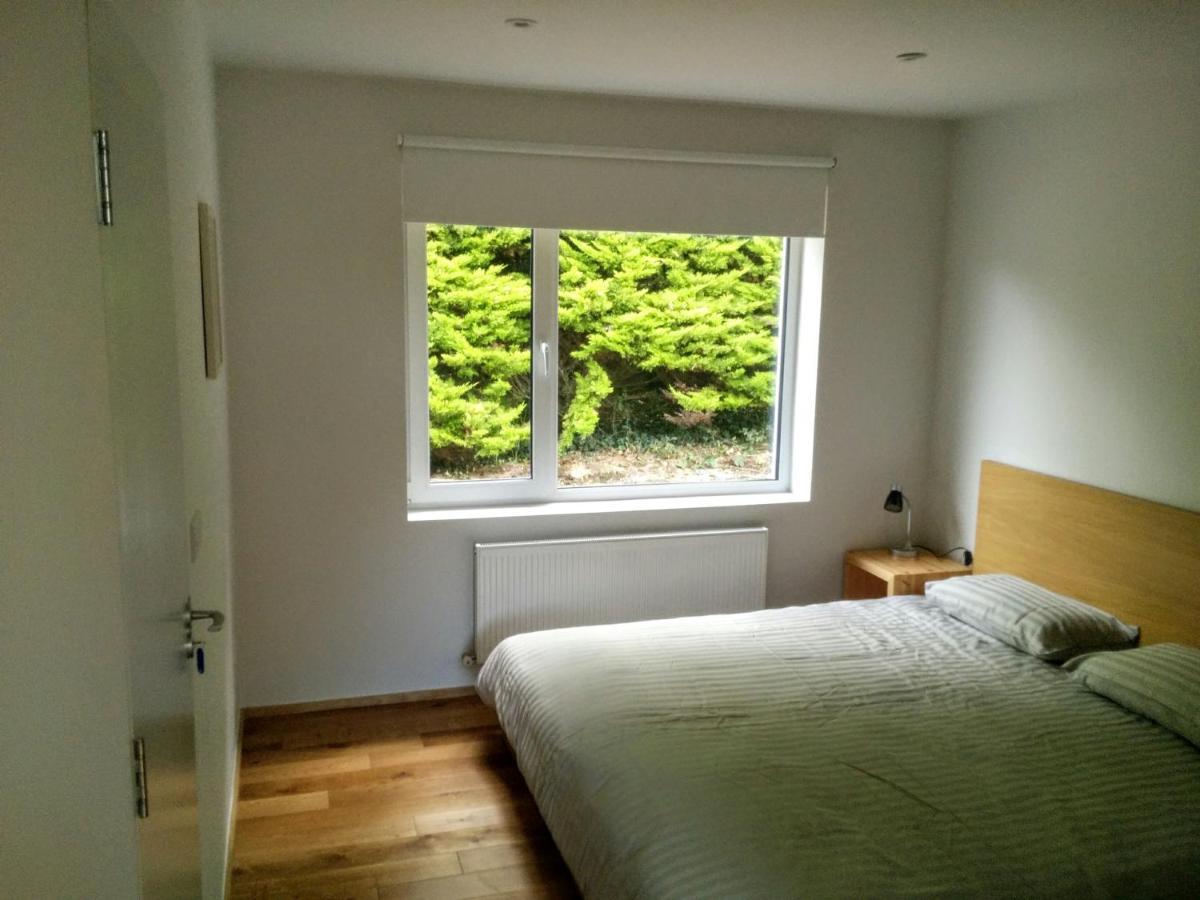 Spacious Contemporary Chalet Type Apartment. 골웨이 외부 사진