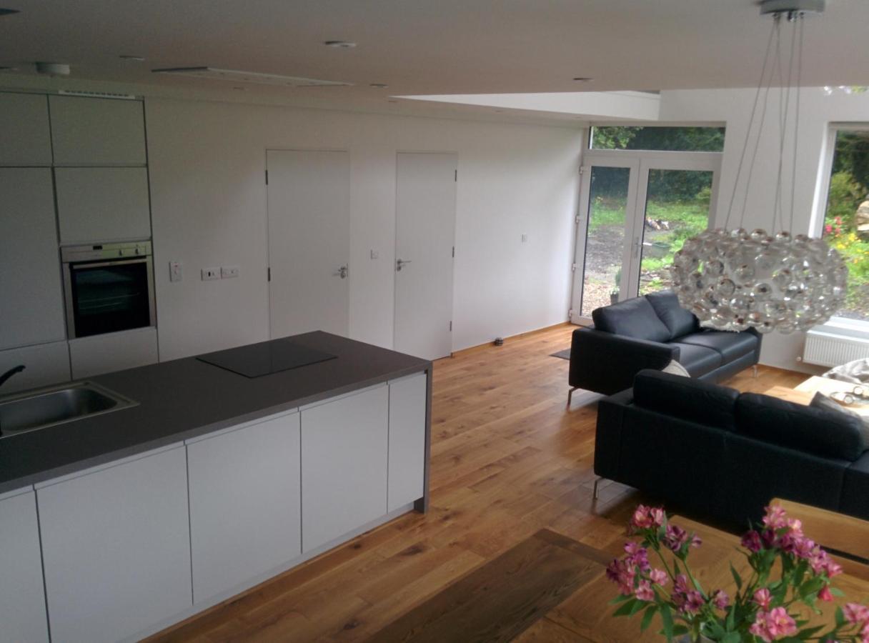 Spacious Contemporary Chalet Type Apartment. 골웨이 외부 사진